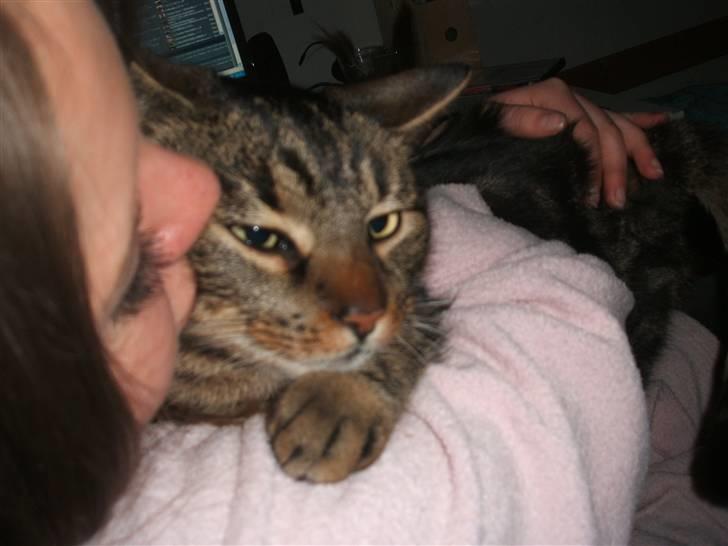 Huskat Buster  - Kys til mig :D billede 13