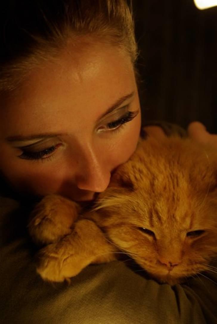 Blanding af racer Felix - Det er min smukke søster der poserer foran kamera´et med Felixen billede 5