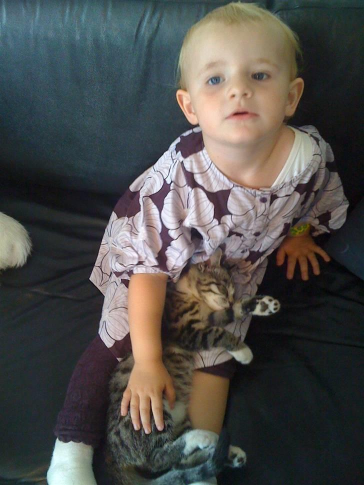 Huskat "Malou" Mis-pige - mispige elsker børn billede 15