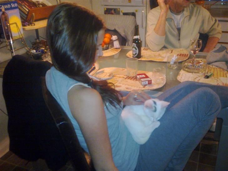 Huskat Lille Skid billede 10