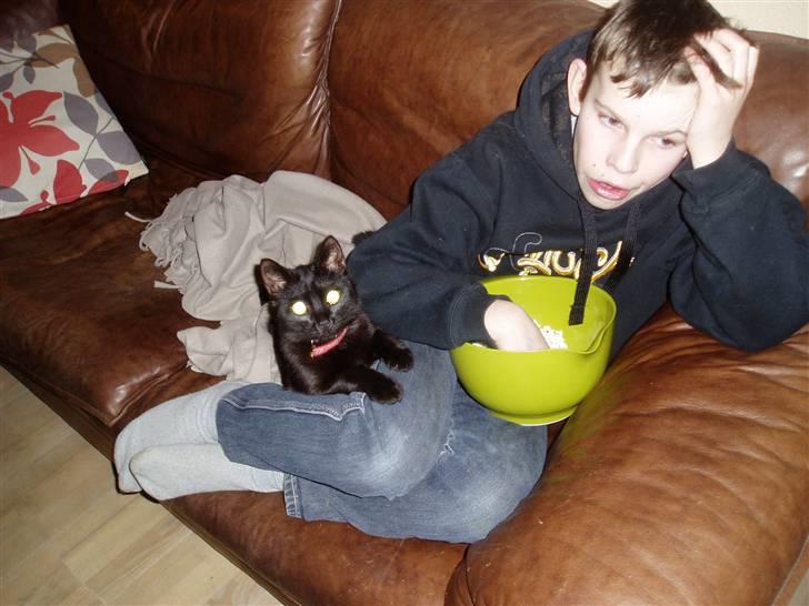 Huskat Puma † R.I.P † - Elsker at sidde ved min ejer Nicolai og spise popkorn billede 6