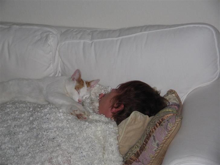 Huskat Willy (R.I.P.) billede 12