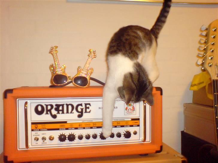 Huskat George Clooney - Der er da ingen der ser hvis jeg drejer lidt på denne knap billede 12