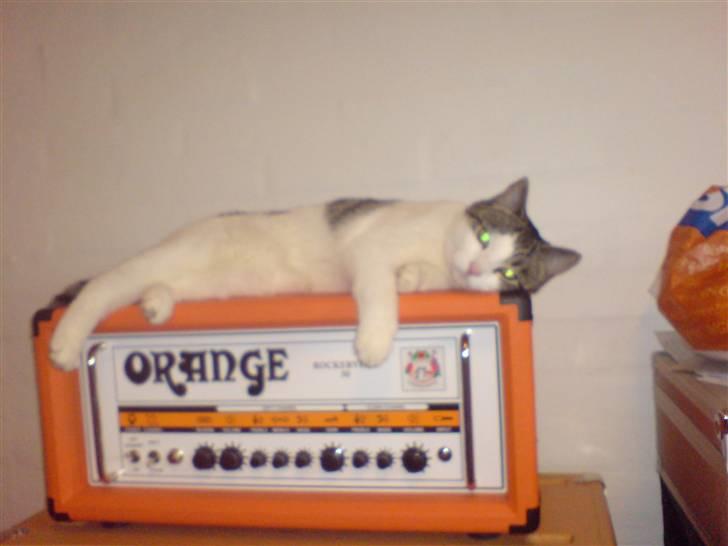 Huskat George Clooney billede 14