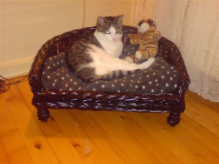 Huskat George Clooney billede 17