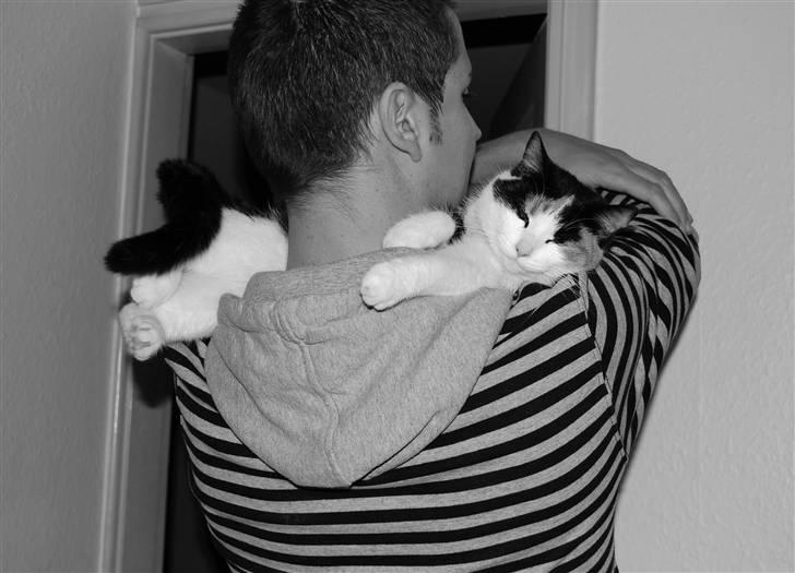 Blanding af racer Ida - Ida & Ejer billede 6