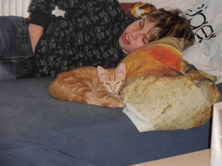 Huskat Spinner † R.I.P † - Da han kom hjem for første gang, d. 12.12.09 billede 4