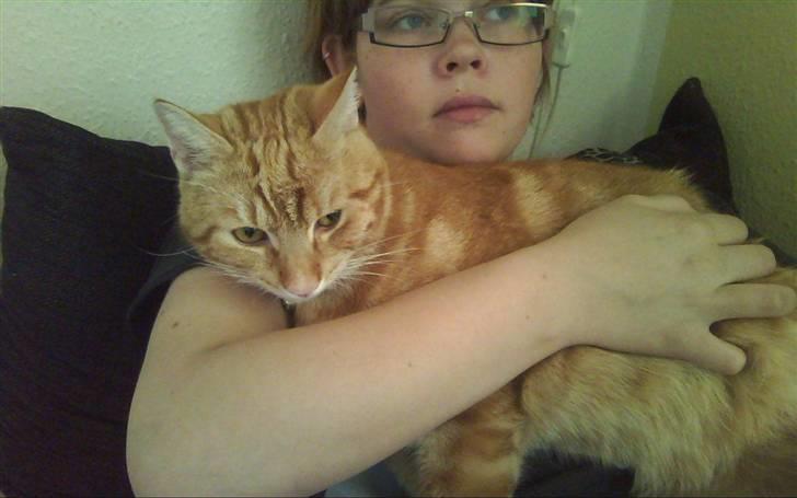 Huskat Spinner † R.I.P † - taget idag d. 21.04.10 billede 8