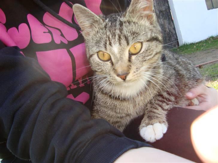 Huskat Madea *død*† billede 17