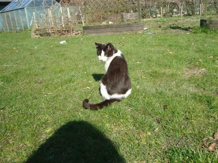 Blanding af racer Trine *Væk* :'( billede 9