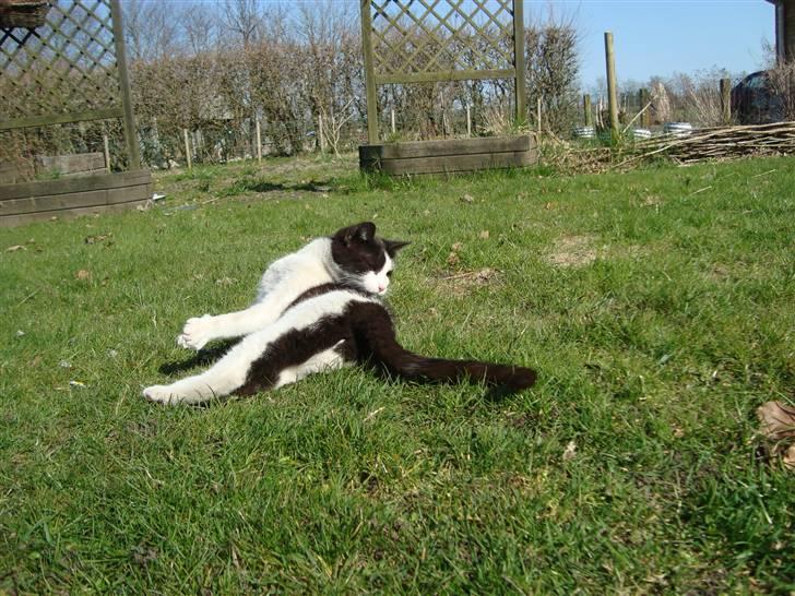 Blanding af racer Trine *Væk* :'( billede 11