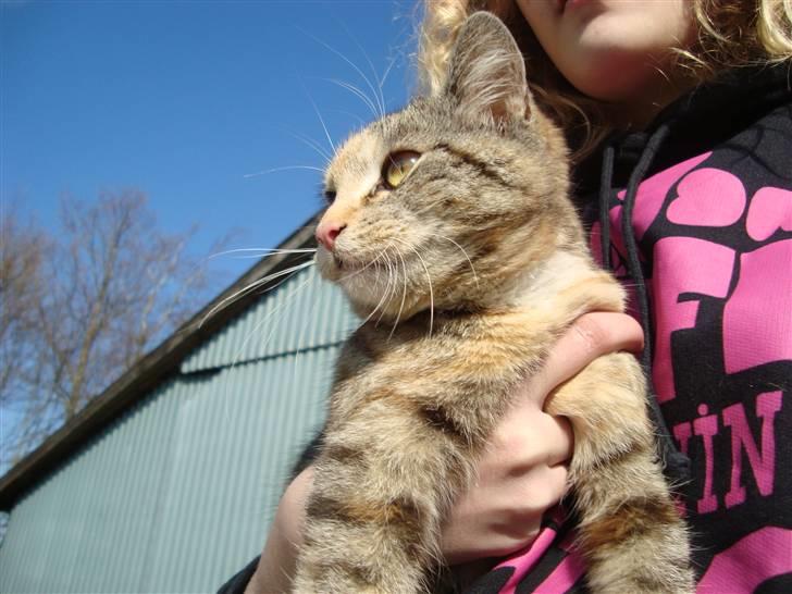 Huskat Katja *RIP* billede 16