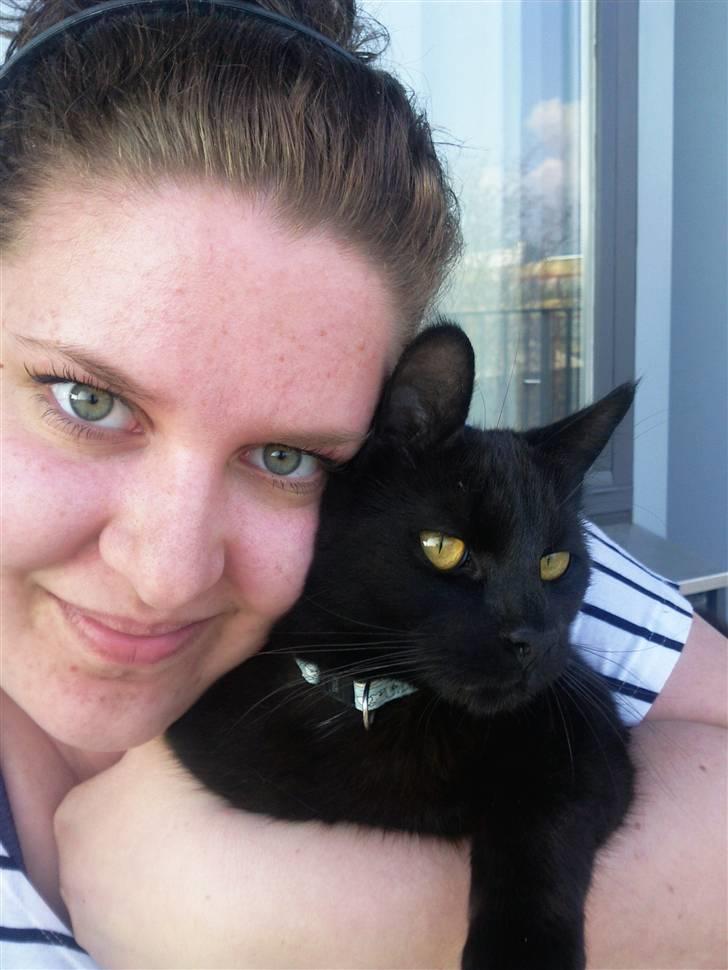 Huskat Laban (død 21.4.2010) - mmmmh yndlingsmis billede 9