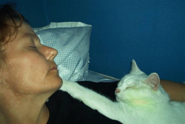 Blanding af racer Gizmo - Hvem mon snorker højest billede 2