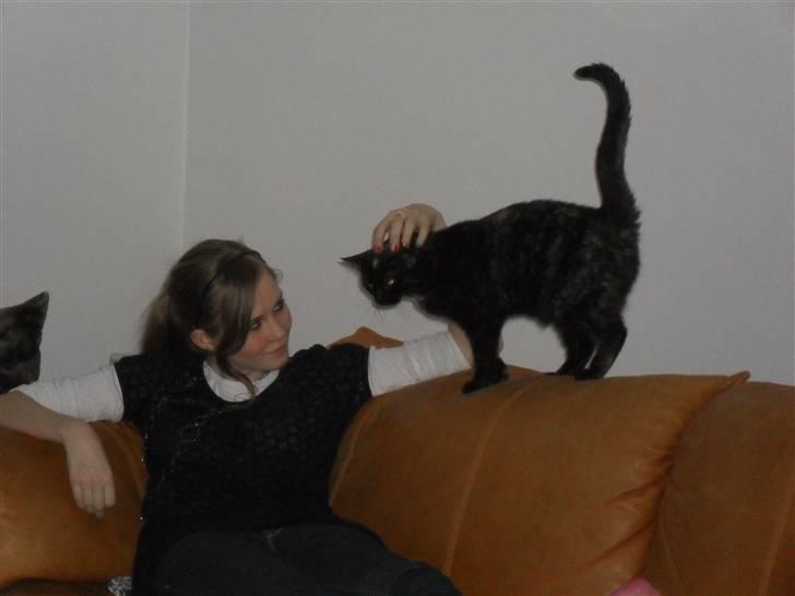 Huskat † Marie † )': - hvor det dejligt at du vil snakke med mig<3 billede 5