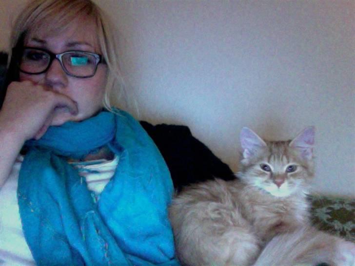 Blanding af racer Kleo billede 8