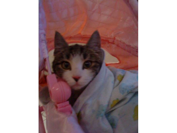 Huskat grynte<3 - Stort avslapning<3 billede 1