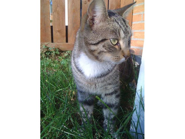 {{currentPhoto.altText}} billede {{currentPhoto.number}}