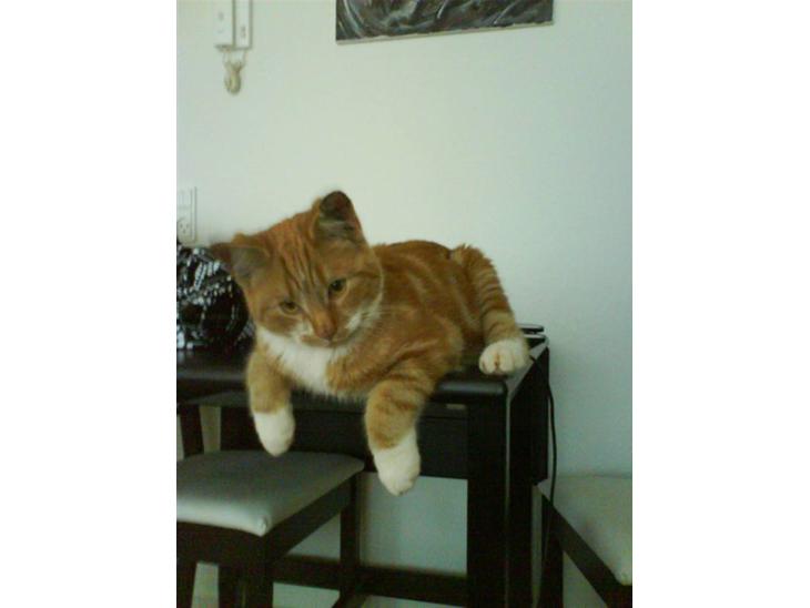 {{currentPhoto.altText}} billede {{currentPhoto.number}}