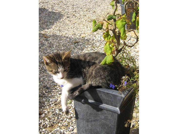 {{currentPhoto.altText}} billede {{currentPhoto.number}}