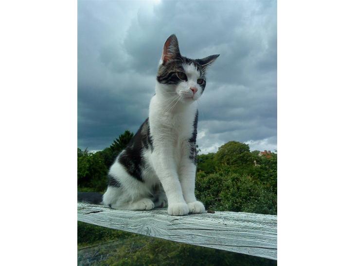 {{currentPhoto.altText}} billede {{currentPhoto.number}}