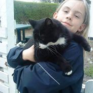 Blanding af racer luna