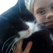 Blanding af racer luna