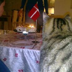 Huskat Misser *GIVET VÆK:(*