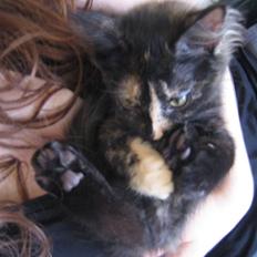 Blanding af racer Bellatrix