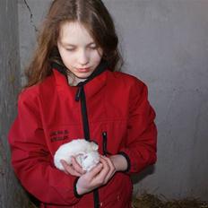 Blanding af racer Trip (DØD)