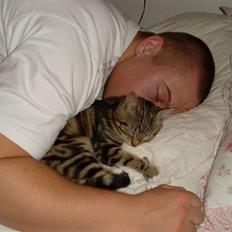 Blanding af racer Alli