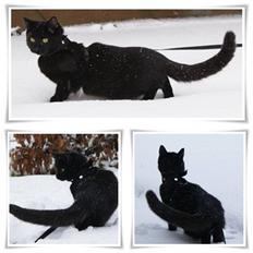 Blanding af racer Angle 