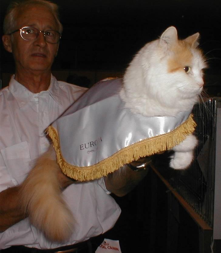 Tyrkisk Van Soyadi's Bolu - Soyadi´s Bolu blev Europa Champion billede 5