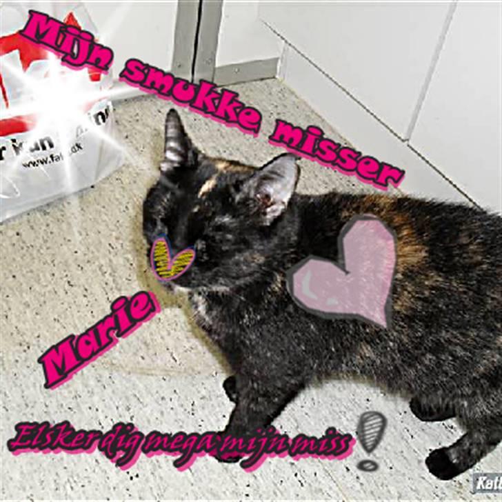 Huskat † Marie † )': - Mijn smukke misser Marie elsker dig mega mijn miss ! billede 6