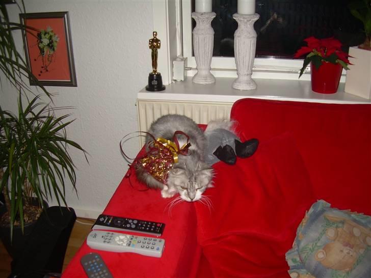 Blanding af racer Pancakes - Man kan heller ikke få en lur i fred uden at vågne op med noget stads på..  billede 6