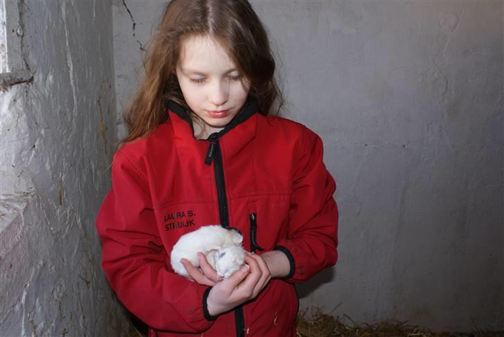 Blanding af racer Trip (DØD) billede 3