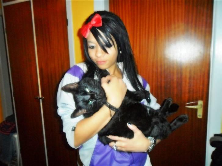 Huskat Zippo  - Zippo &´ Mig :-D Dovne kat!  billede 2