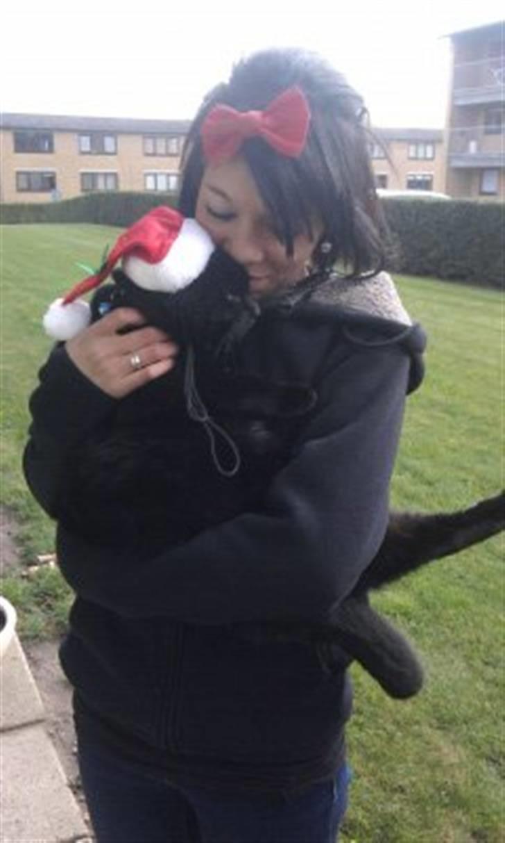 Huskat Zippo  billede 8