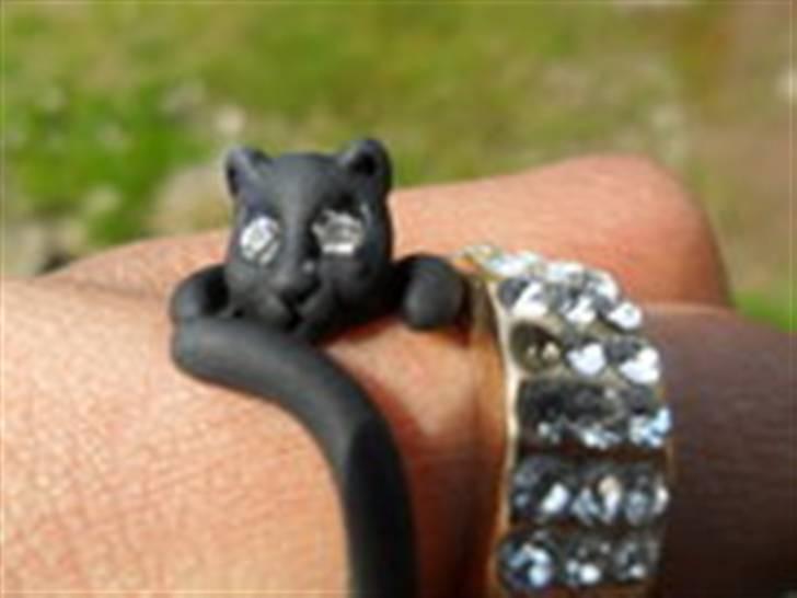 Huskat Zippo  - En fin ring, jeg købte over på bornholm, savnede nemlig lille Zippo!Mis - så fandt en der næsten mindede om ham :D  billede 9