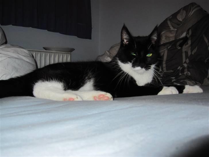 Huskat Minner billede 1