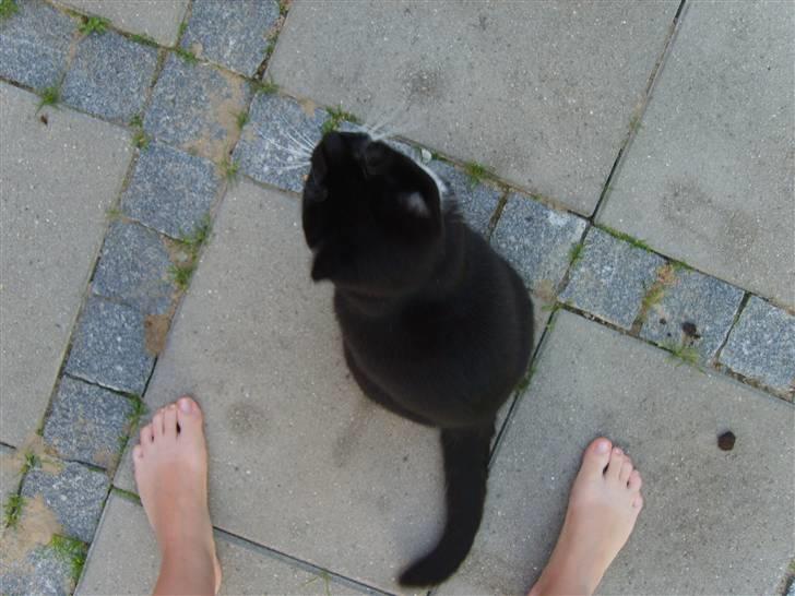 Huskat Minner billede 6