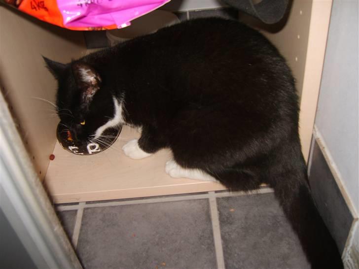 Huskat Minner billede 10