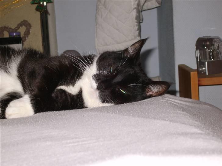 Huskat Minner billede 13