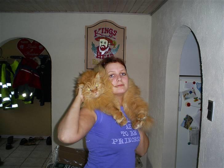 Blanding af racer Simba *2001-2010* - Love my fur;) billede 11