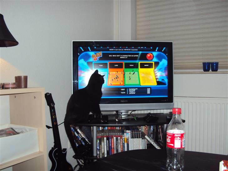 Huskat Newton R.I.P billede 8