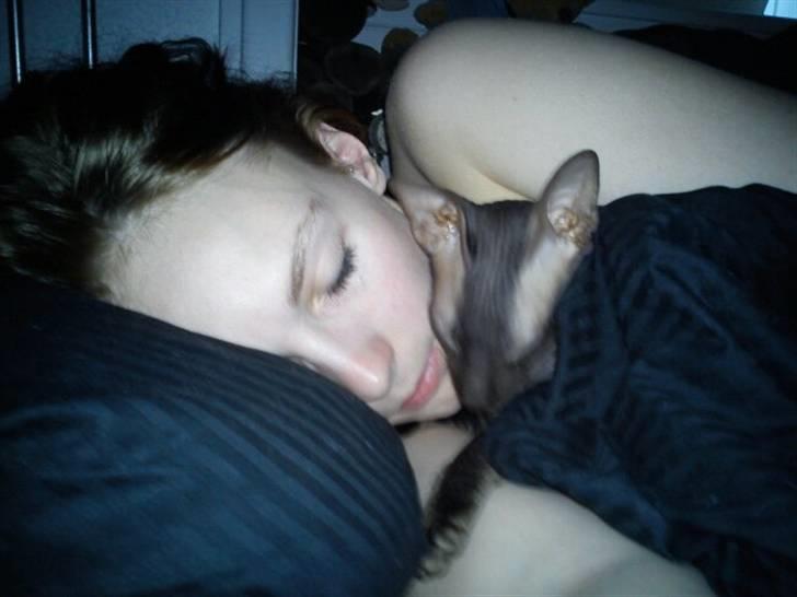 Peterbald Bare Essentials X Soma - Soma der ligger og putter hos "mor" billede 7