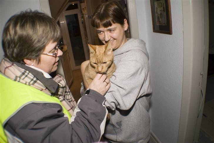 Huskat Garfield - Første dag hjemme billede 10