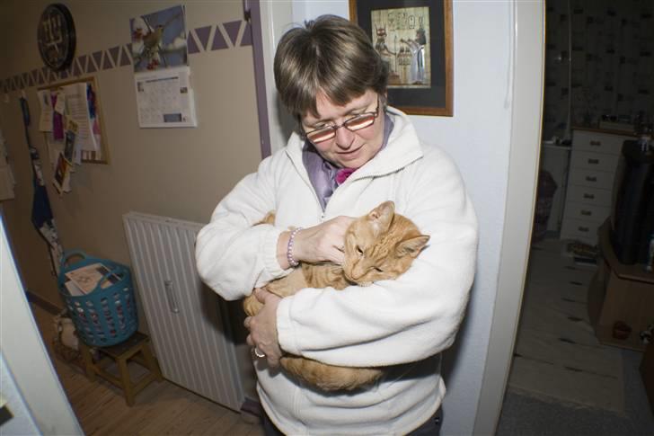 Huskat Garfield - Mor og Garfield billede 13