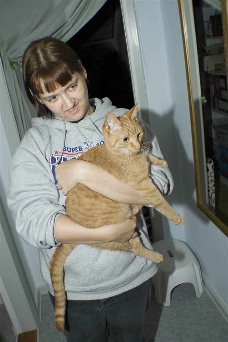 Huskat Garfield billede 14