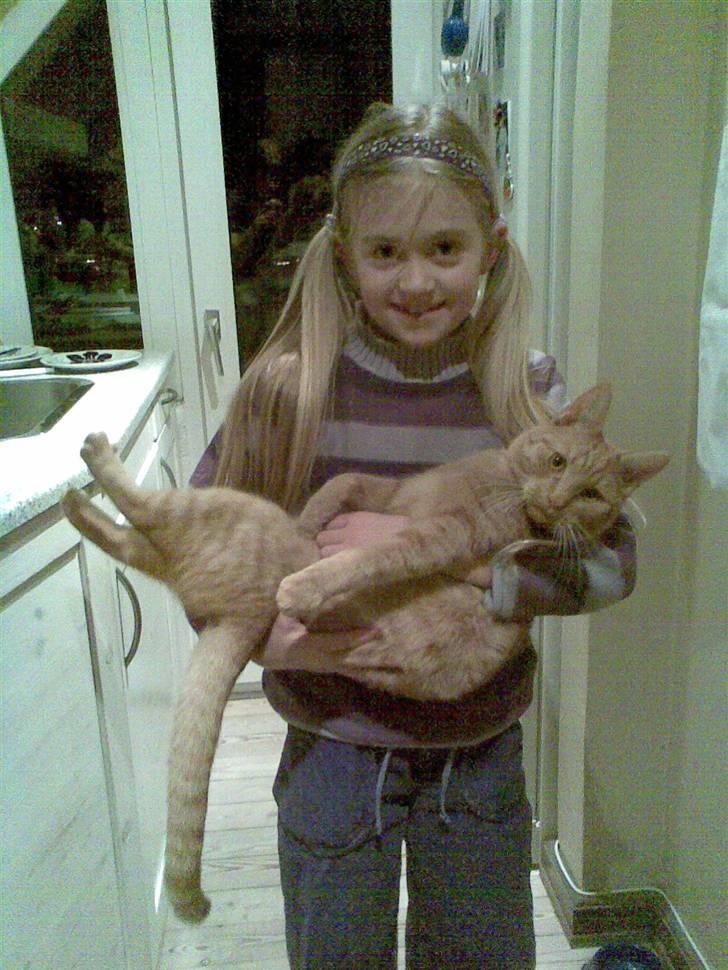 Huskat Garfield - Jeanette og Garfield billede 16